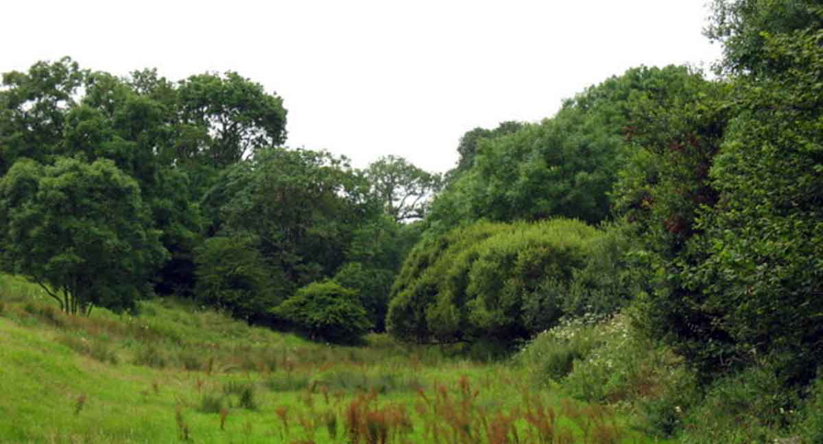 valley afon ceint anglesey eric jones cc by 2.0