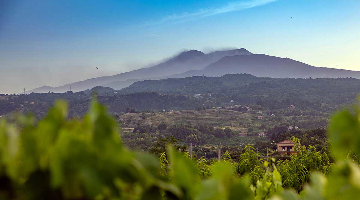 view over sicilian countryside