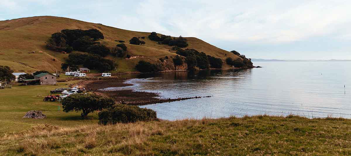 waikato region landscape