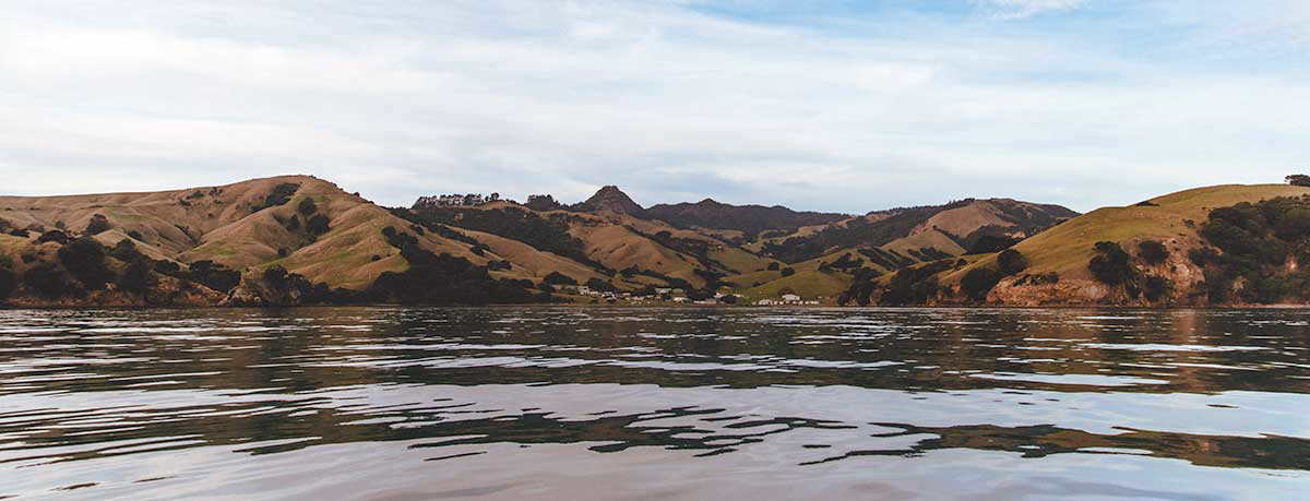 waikato region picture