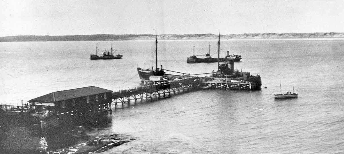 waitangi chatham harbour