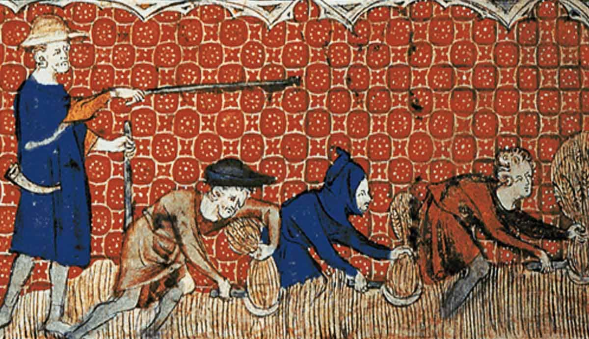 what was domesday book how produced