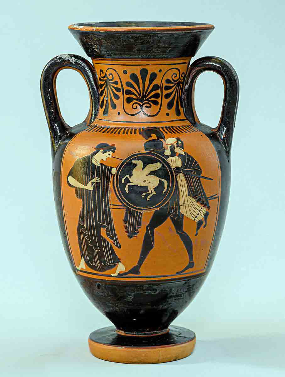 Amphora aeneas photo