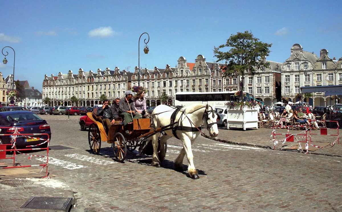 arras france horse