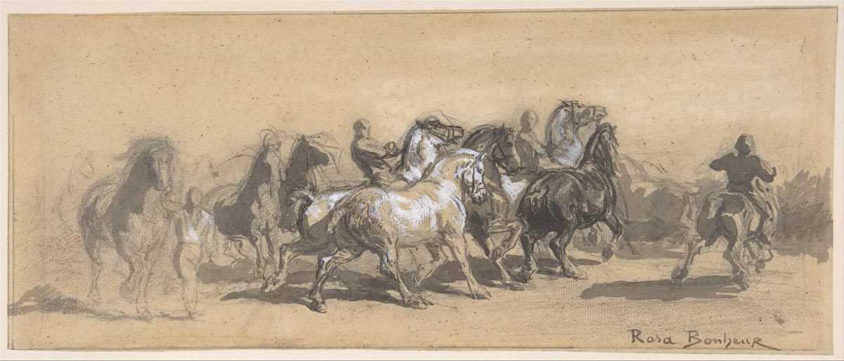 bonheur-fair-study