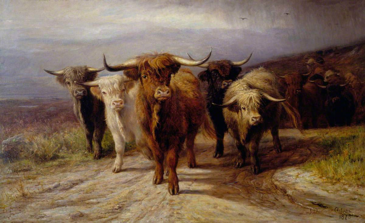 cattle joseph denovan adam samuel johnson