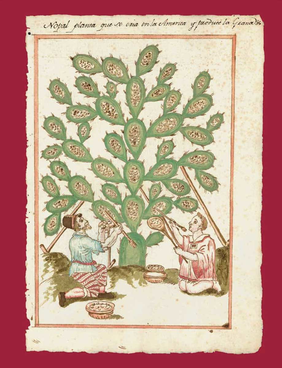 colonial document