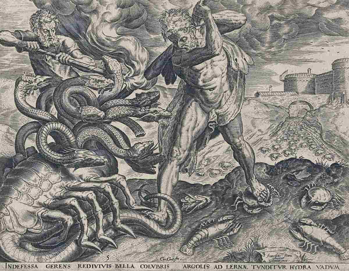 cort hercules hydra twelve labors