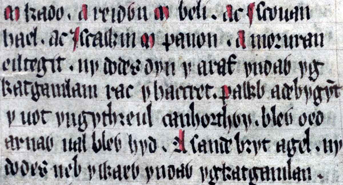culhwch olwen folio 202r battle camlann