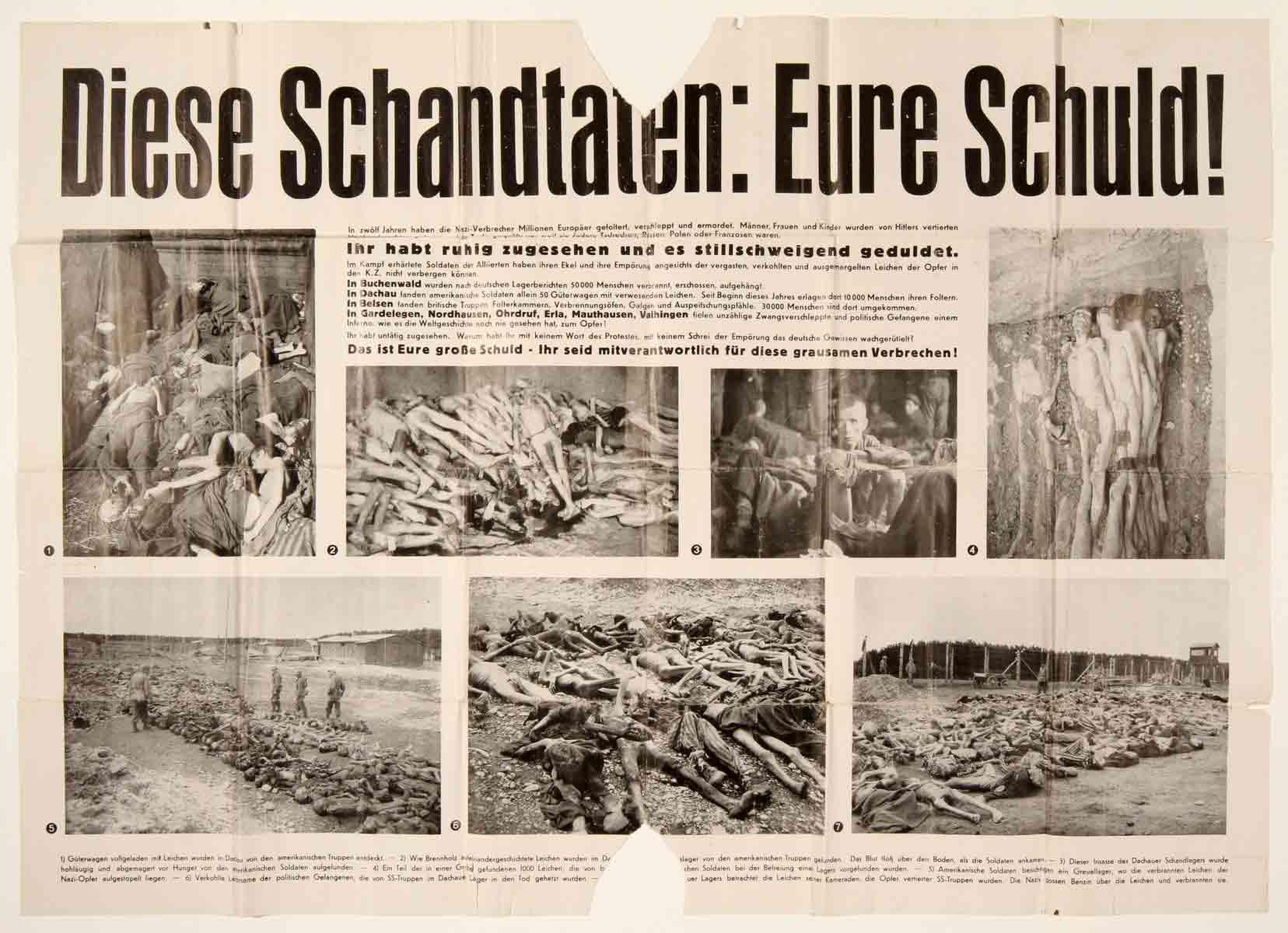 denazification poster