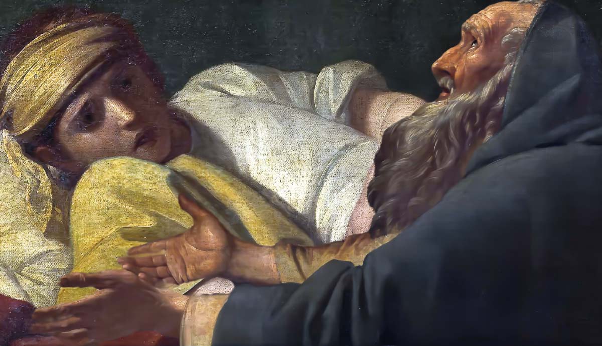 elijah raising widow son prophets in isrealite politics