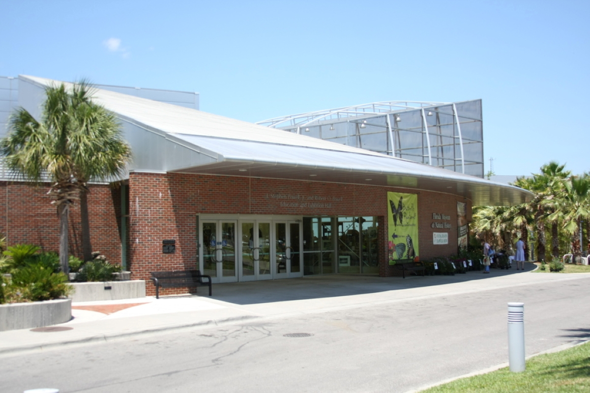 florida museum natural history gainesville