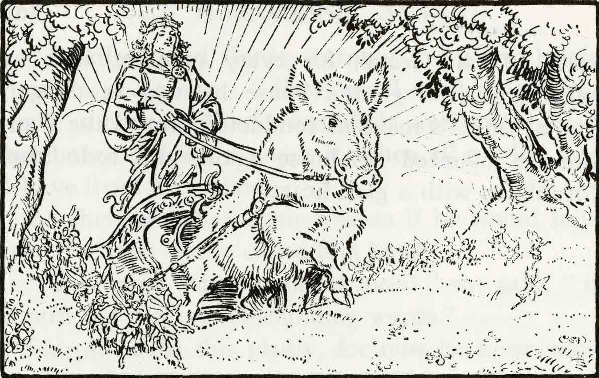 freyr boar brock