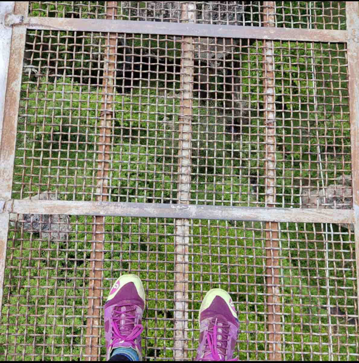 good shoes on bridge