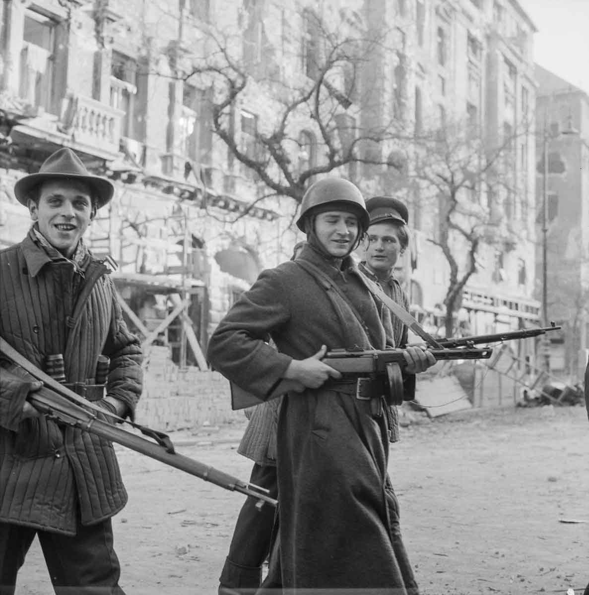 hungarian freedom fighters