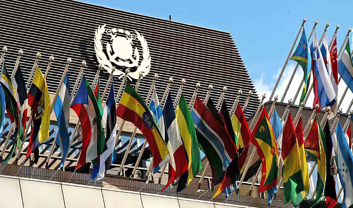 imo organization