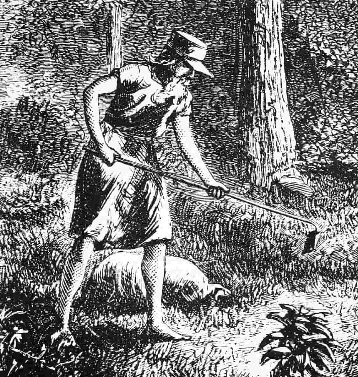 johnny appleseed harpers