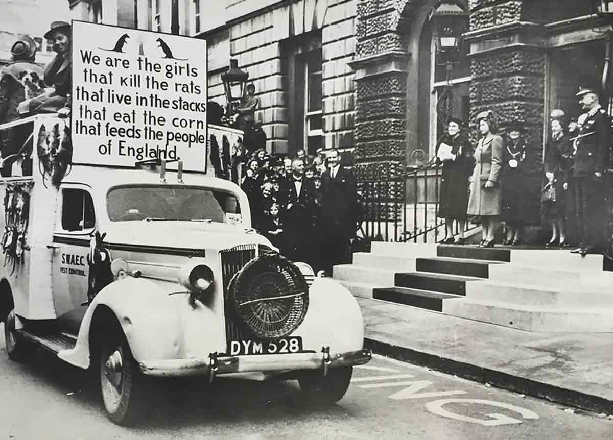 land girls rat catchers