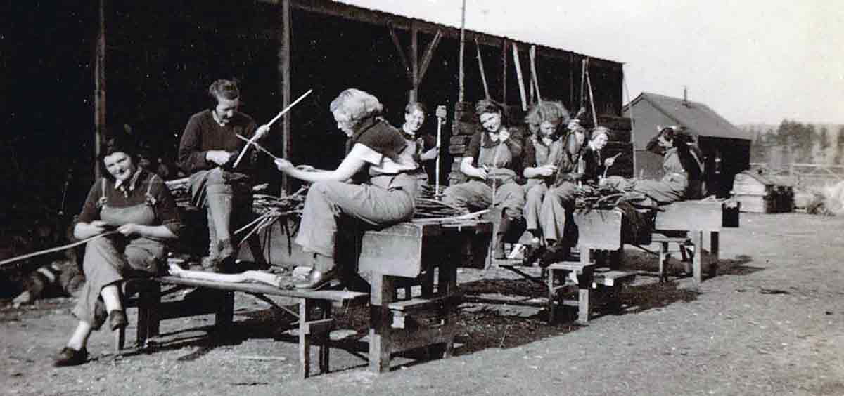 lumber jills timber corps