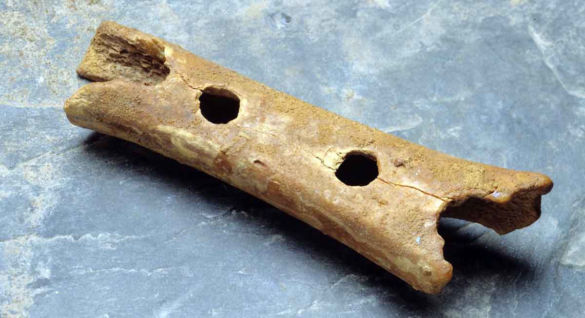 neanderthal flute national museum slovenia