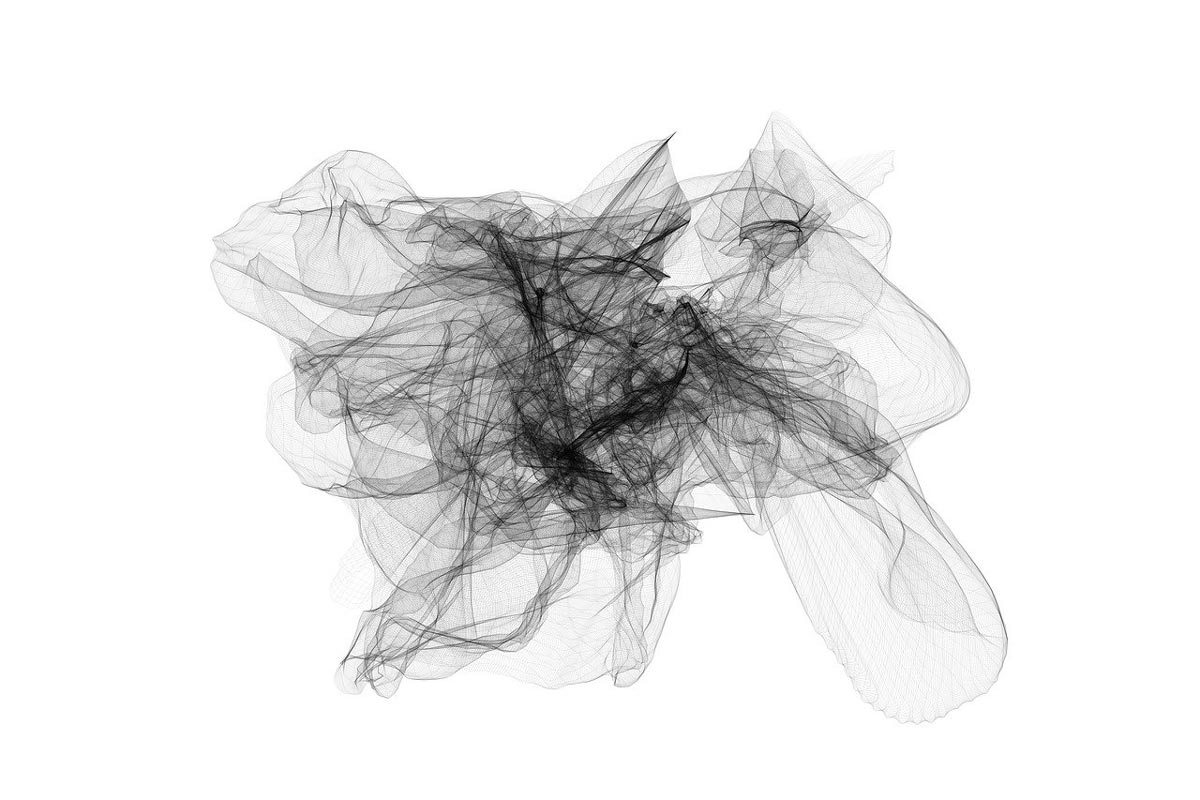 neurons