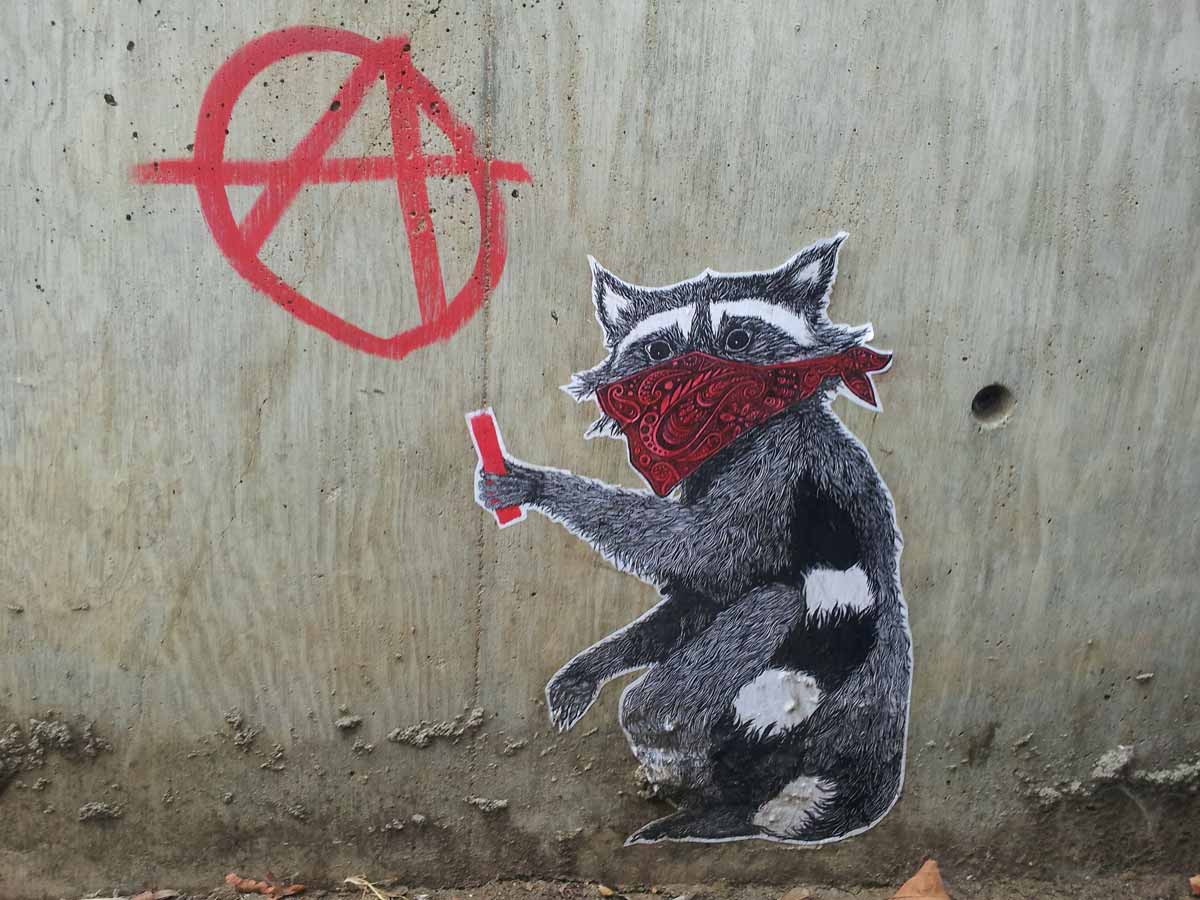 racoon street art anarchy