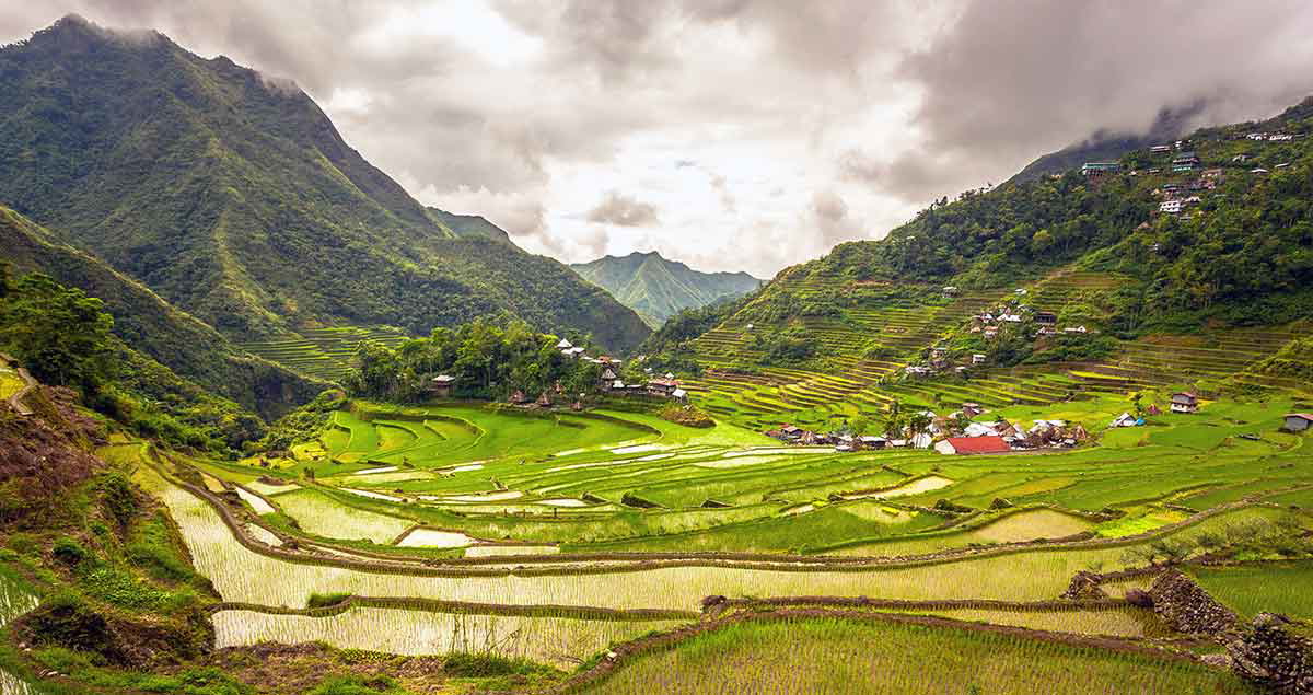 rice terraces Philippine Cordilleras