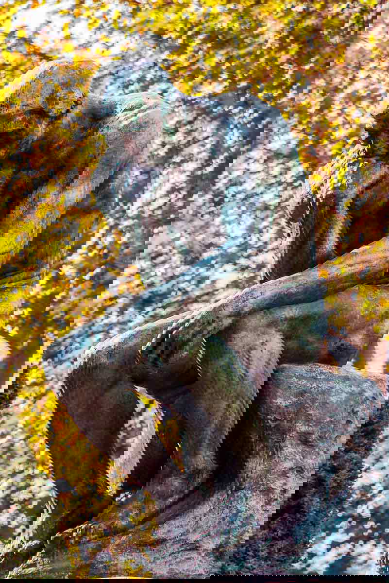 rodin thinker