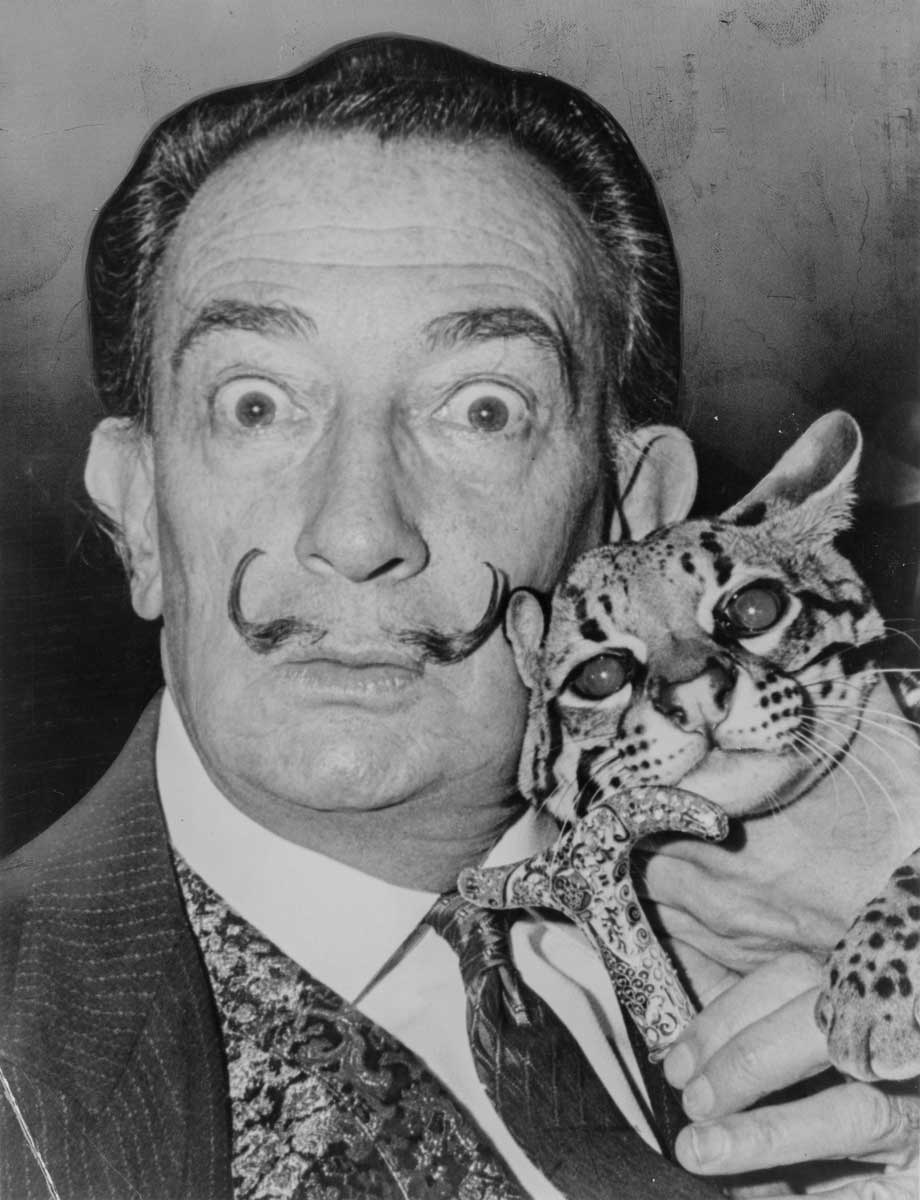 salvador dali ocelot photo