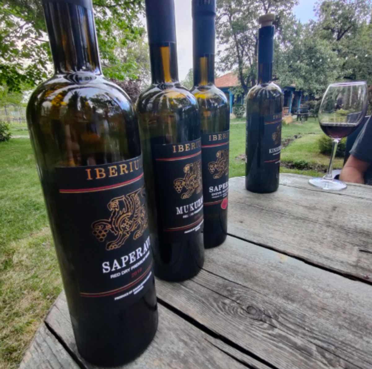 saperavi wine georgia