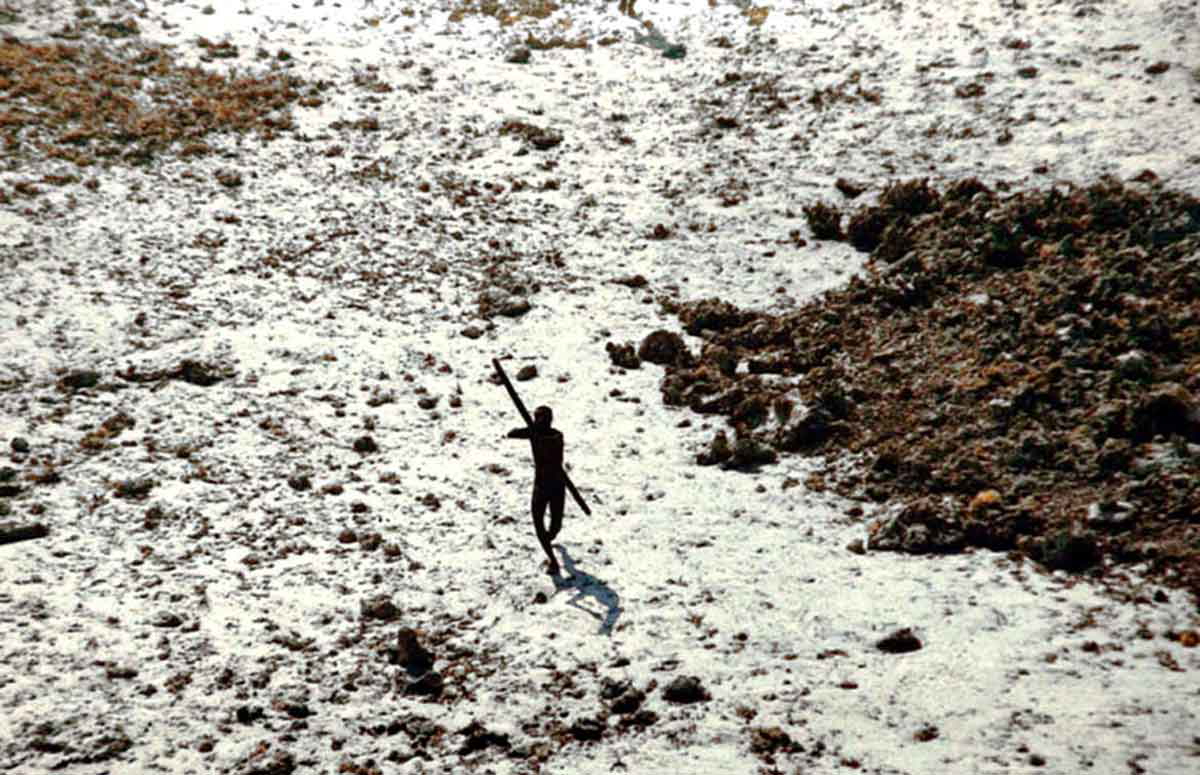 sentinel islander 2004