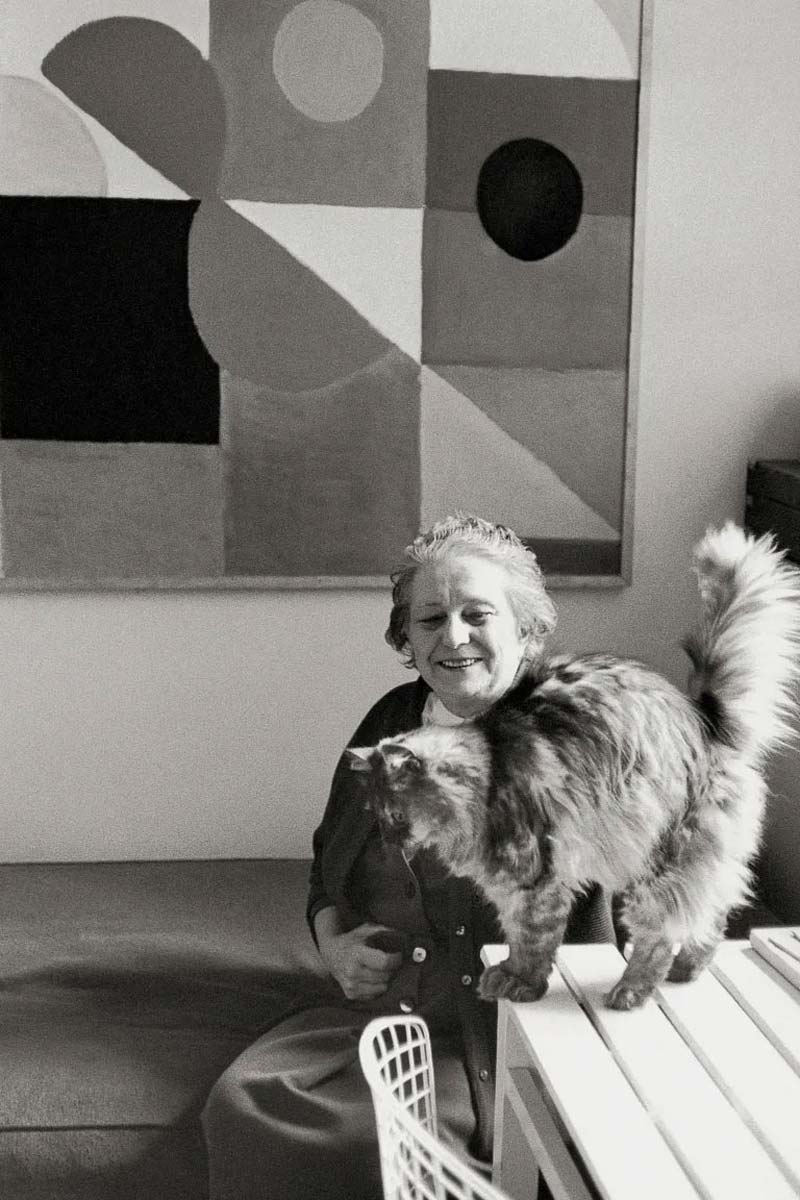 sonia delaunay cat photo