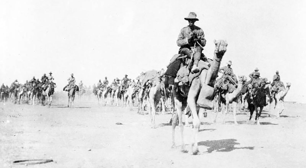 us camel corps army