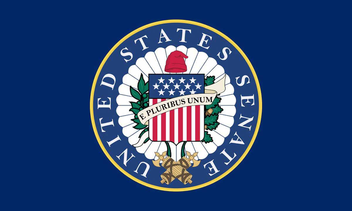 us senate flag