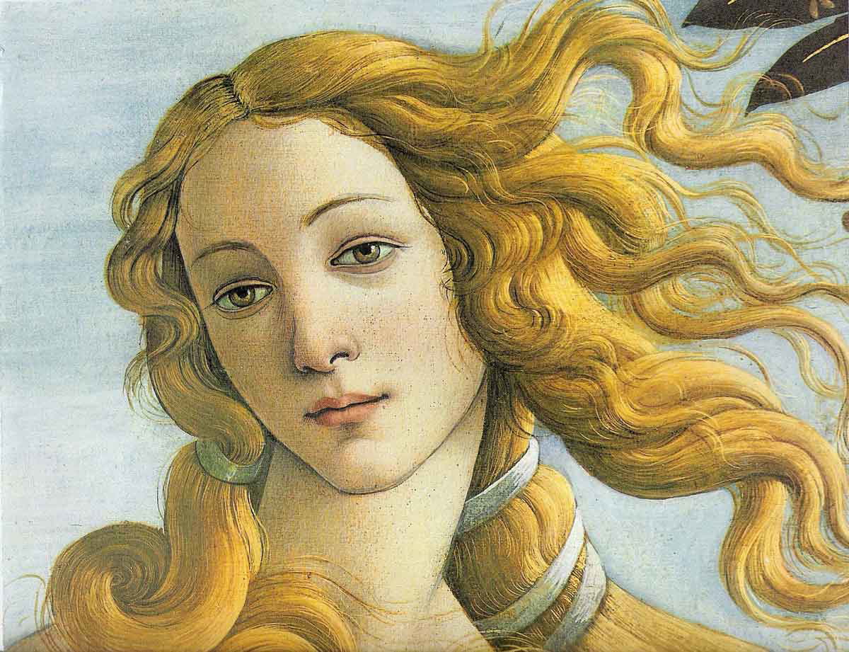 venus sandro botticelli