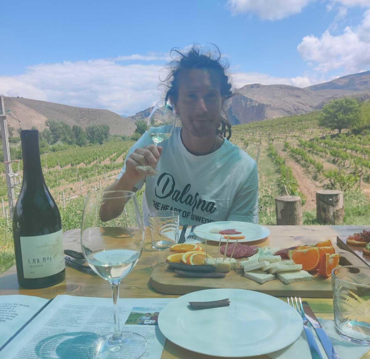 vinyards areni