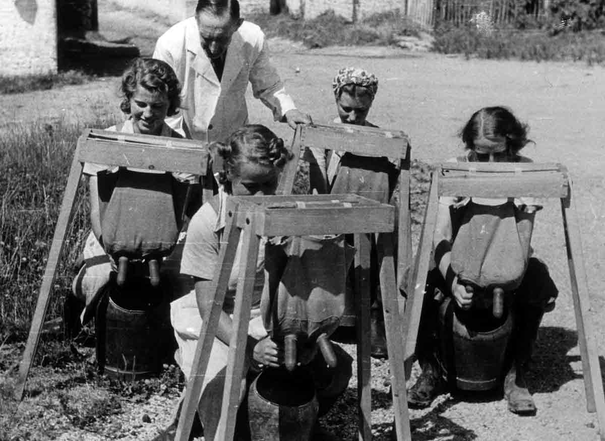 womens land army dariy farming training