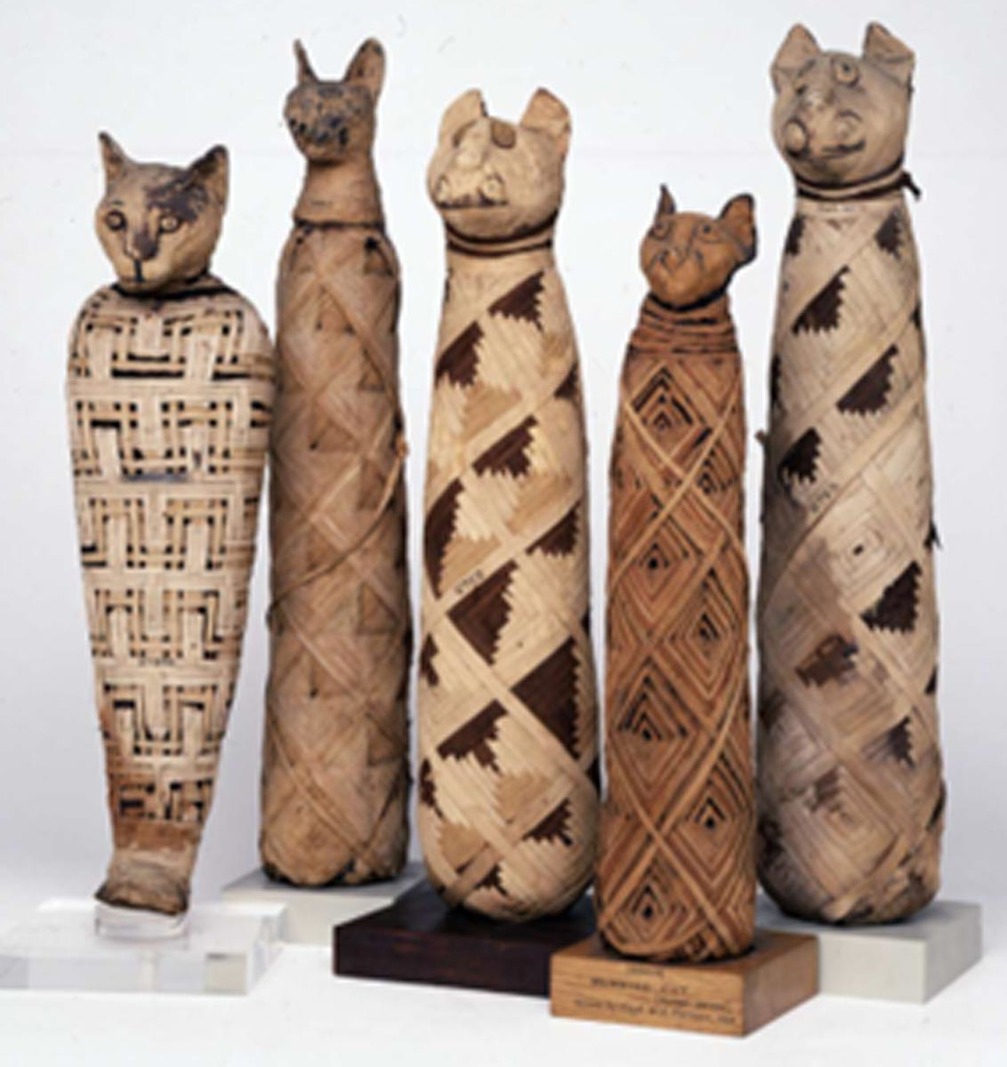 Cat-Mummies-Roman-Period