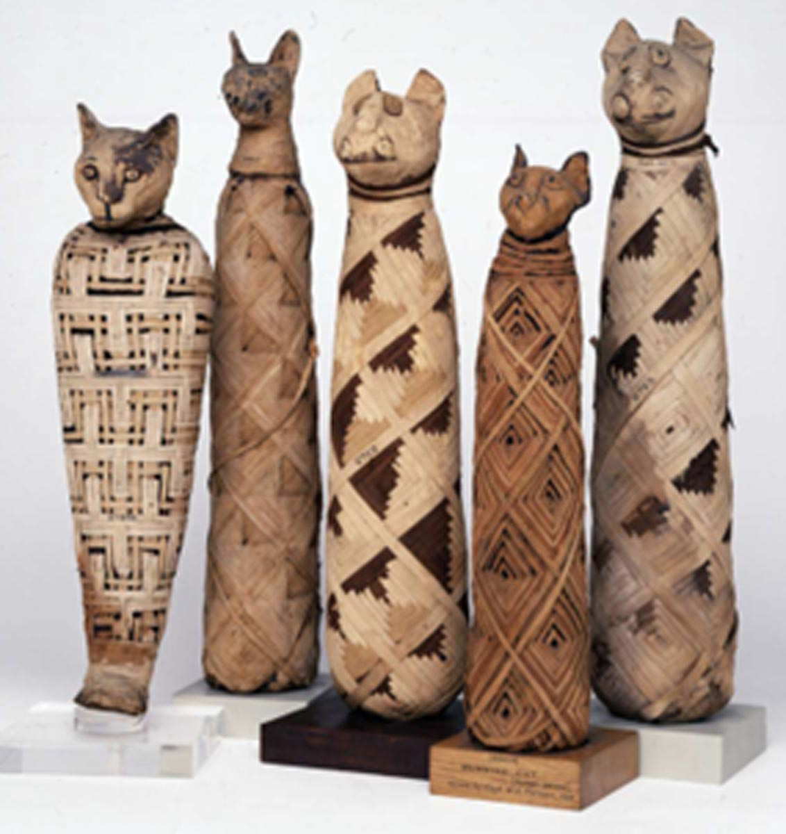 Cat-Mummies-Roman-Period