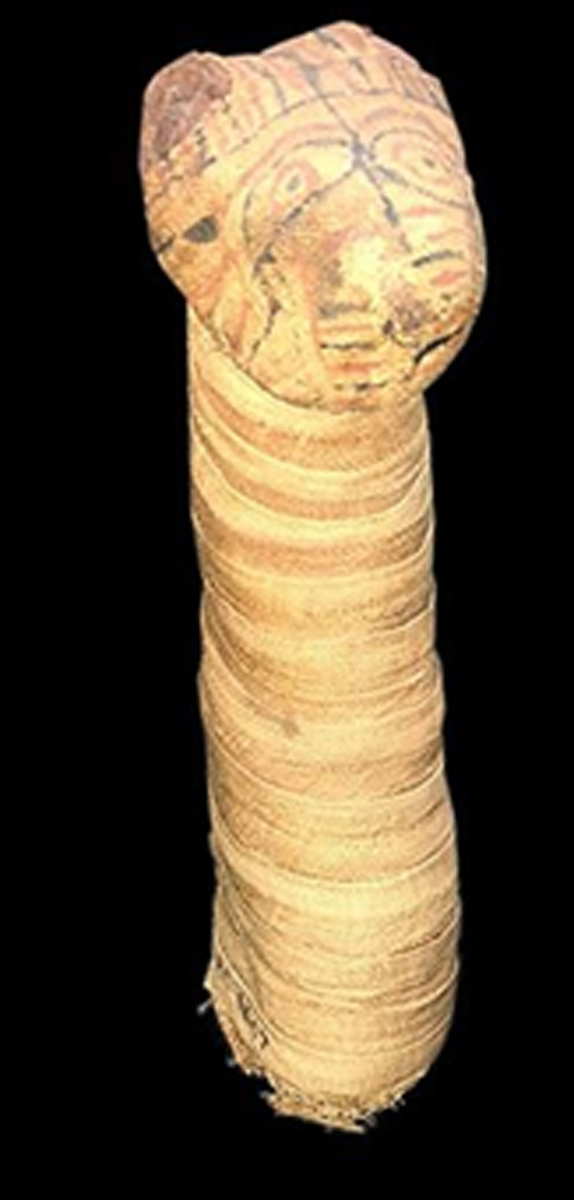 Cat Mummy Ptolemaic Rosicrucian Museum