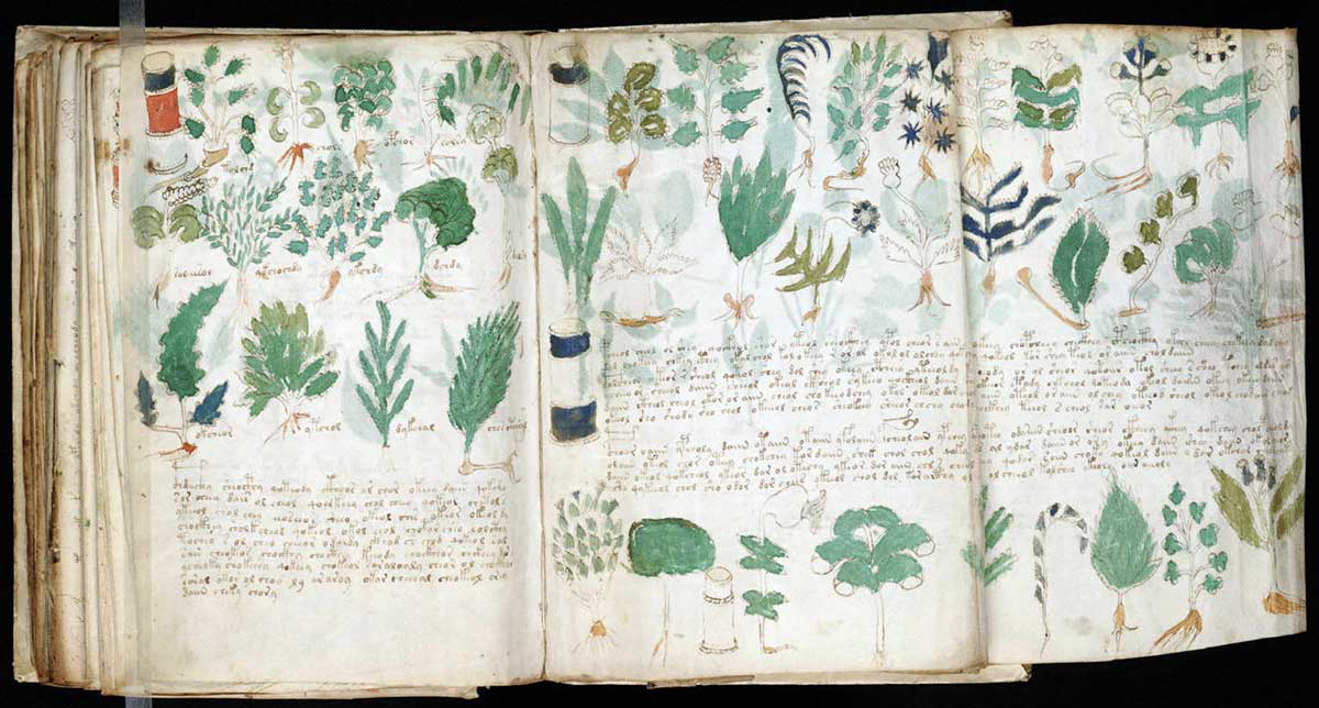 Voynich Manuscript Pages