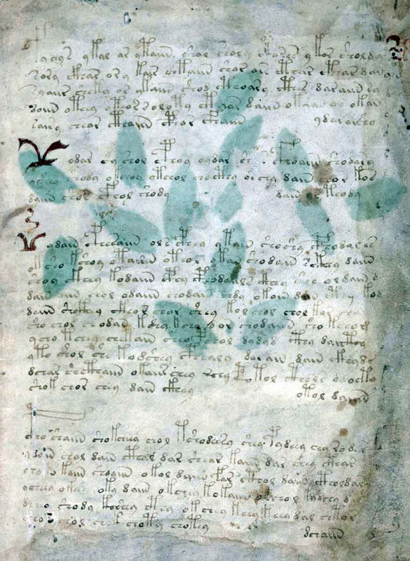 Voynich Manuscript page