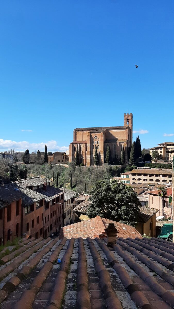 basilica san domenico siena