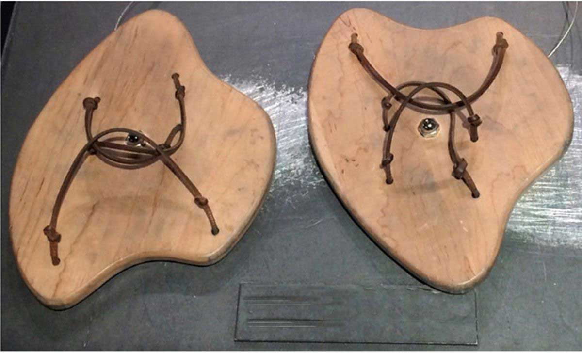 benjamin franklin swim fins2