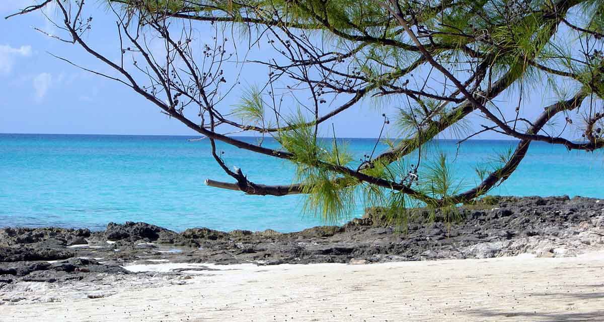 bimini island beach
