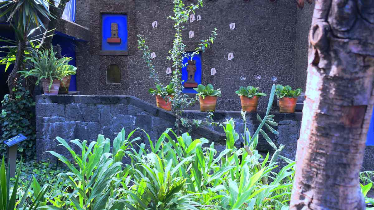 blue house frida kahlo courtyard