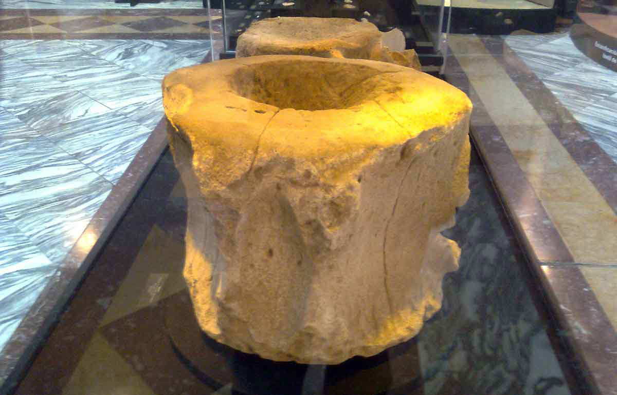blue whale bones artifacts in caral