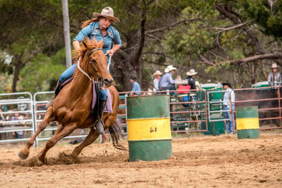 boddington rodeo image