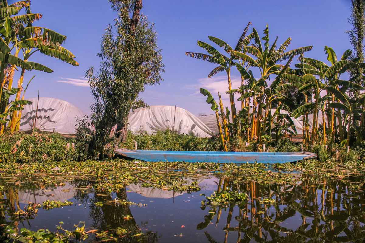 chinampa xochimilco