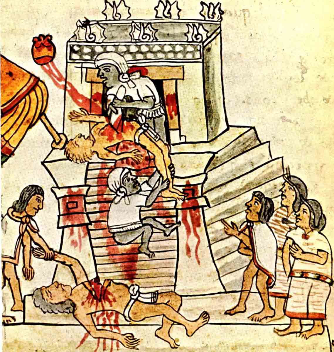 codex magliabechiano sacrifice